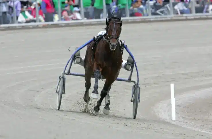 jag de bellouet fram 2 1440x943 jpg