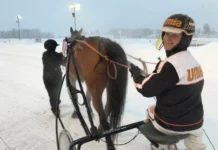 Inför V75: Dunder med streckvärd trio: ”Alla håller bra form” Inför V75®: Dunder med streckvärd trio: ”Alla håller bra form”