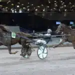 Inför V75 SOLVALLA: Fortsätter framgångarna för Salmelas segerstaplare? staro royal mark mal 1440x848 jpg