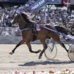 Stjärnkollen: A Fair Day a fair day heat 1440x960 jpg