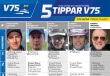 Fem tippar V75 till Solvalla 29 mars 2025 Fem tippar V75 till Solvalla 29 mars 2025
