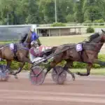 Franska Elitloppsvinnarna mot nya uppgifter hohneck och etonnant i lopp 1440x926 jpg