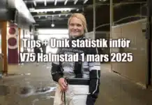 Tips + Unik statistik inför V75 Halmstad 1 mars 2025 maria tornqvist 2 1440x986 jpg kopiera