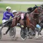 Stjärnkollen: San Moteur san moteur med 200 meter kvar av elitloppet 2023 01942 1440x960 jpg