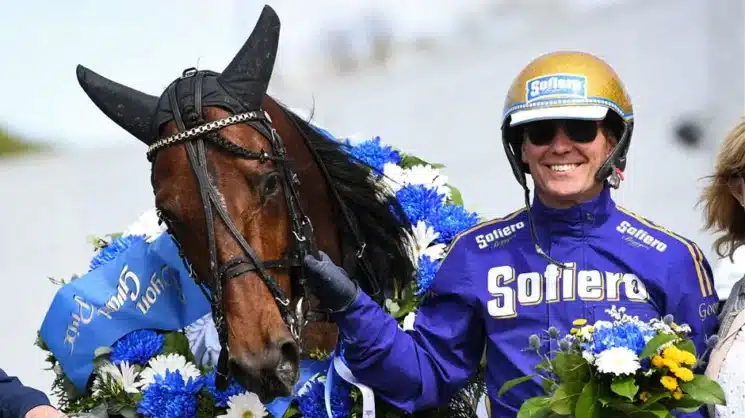 san moteur pris 190 3 jpg