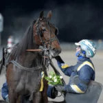 Inför V86: ”En kanonfin häst – min bästa chans” selective calling och orjan kihlstrom 1440x996 jpg