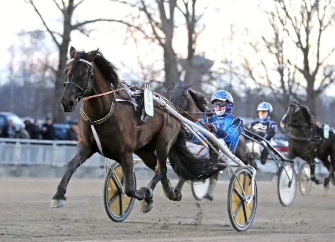 tverdals trippel mal 1440x1042 jpg