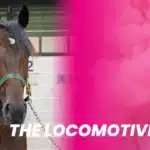 Elitloppshästen på resande fot 1.the locomotive 1920x1080 1 1440x810