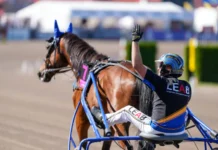 A Fair Day får chans till revansch i Elitloppet a fair day oscar ginman 06667 720x483 jpg