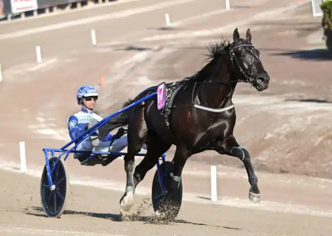 borups victory heat 1440x1024 jpg