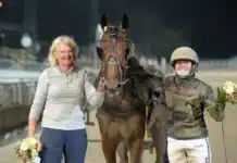 Inför V75: Rexhammar hoppas att festen fortsätter i Bollnäs can can broline pris 1440x927 jpg
