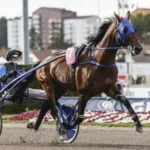 Flera franska topphästar i Prix Kerjacques etonnant le jpg