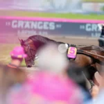 Francesco Zet redo för årets första start francesco zet elitloppsdagen 2024 06420 720x480 jpg