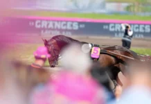 Francesco Zet redo för årets första start francesco zet elitloppsdagen 2024 06420 720x480 jpg