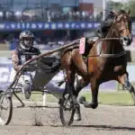 Elitloppsfavoritens monsterjobb francesco zet varmning iii 720x480 jpg