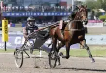 Elitloppsfavoritens monsterjobb francesco zet varmning iii 720x480 jpg