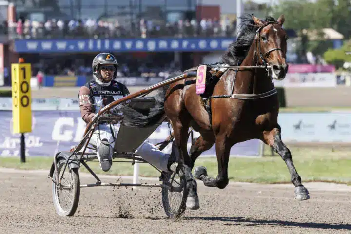 francesco zet varmning iii 720x480 jpg