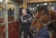 Inför V75 Romme (multijackpot): San Moteur – en spik med 80-procentig form hakan arvidsson och san moteur 720x479 jpg