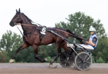 Hustle Rain årsdebuterade i elitloppstempo hustle rain 720x405 jpg
