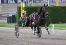 Elitloppskusken Greg Sugars död just believe greg ross sugars elitloppssondagen 2023 2 1440x960 jpg