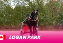 Formbesked från Logan Park inför Elitloppet logan park 1920x1080 1 1440x810 png