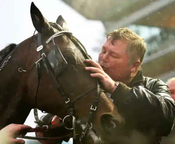 maharajah och stefan hultman 720x593 jpg