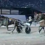 Inför V75 Påskafton: Laddad kvartett från stall Borg maharasha mal 720x437 jpg