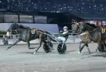 Inför V75 Påskafton: Laddad kvartett från stall Borg maharasha mal 720x437 jpg