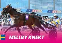 Mellby Knekt inbjuden till Elitloppet – ”En uppfriskande joker” mellby knekt 1920x1080 1 1440x810 jpg
