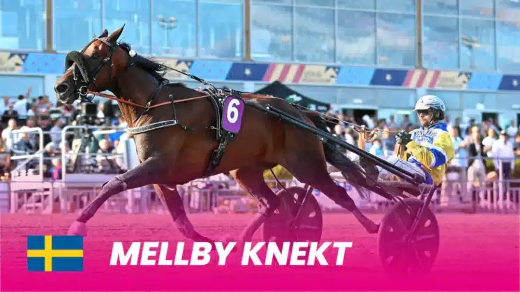 mellby knekt 1920x1080 1 1440x810 jpg