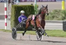 Drömlottning för San Moteur i Paralympiatravet – ”Bästa spåret man kunde få” san moteur bjorn goop elitloppssondagen 2023 09757 1440x969 jpg