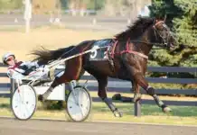 Inför Elitloppet (V75): Varning från NASA för kanadensisk startraket 1120 logan park foto new image media jpg