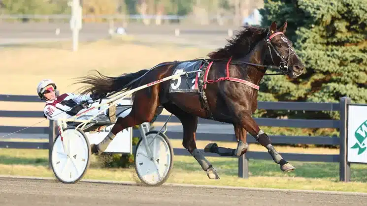 1120 logan park foto new image media jpg