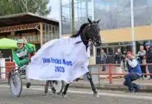 Sista chansen till elitloppsbiljetten castor the star segerdefilering 720x464 jpg