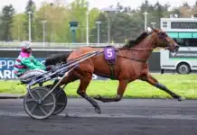 Italiensk joker klar för Elitloppet cobra killer gar gf 1440x962 jpg