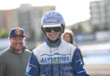 Inför V75 UMÅKER: Wäjersten i huvudrollen igen daniel wajersten 0800 1 1440x1076 jpg