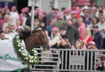 Inför V75 GÄVLE: Envis och arg – inställningen tar hästen till Elitloppet? double deceiver orjan kihlstrom 01675 1440x960 jpg
