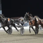 Inför V75 Lördag: Breeders’-vinnaren mot formen: ”Jag hade 06,5 sista 500” eclipse as mal 1440x870 jpg