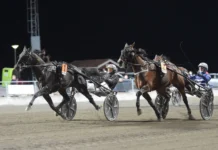 Inför V75 Lördag: Breeders’-vinnaren mot formen: ”Jag hade 06,5 sista 500” eclipse as mal 1440x870 jpg