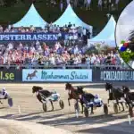 Inför Elitloppet (V75): Borups Victory elitloppshet – spänd förväntan i ägarleden elitloppet borups victorymontage 1440x827 jpg
