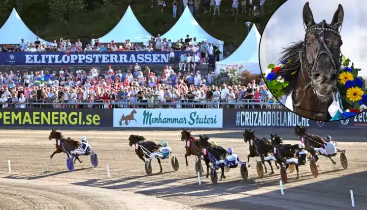 elitloppet borups victorymontage 1440x827 jpg