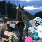 Don Fanucci Zet klar för sitt femte Elitlopp – ”Har aldrig känts bättre” ellinor don fanucci zet och orjan 1440x960 jpg