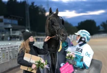 Don Fanucci Zet klar för sitt femte Elitlopp – ”Har aldrig känts bättre” ellinor don fanucci zet och orjan 1440x960 jpg