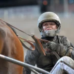 Häst död och två kuskar till sjukhus emilia leo i sulky 2 1440x925 jpg