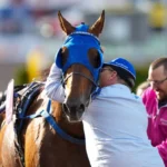 Inför Elitloppet (V75): Den franske hjälten – Etonnant är tillbaka etonnant richard westerink 09516 1440x827 jpg