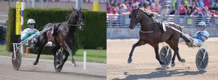 fanucci francesco 1440x529 jpg