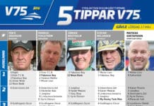Fem tippar V75 till GÄVLE 17 maj 2025 fem tippar v75 v20 2 scaled