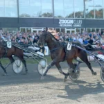 Inför V86 (jackpot): ”Drömmer om att han ska ta ett kliv till” from the hip mal 1440x830 jpg