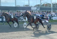 Inför V86 (jackpot): ”Drömmer om att han ska ta ett kliv till” from the hip mal 1440x830 jpg