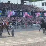 Tredje gången gillt för Go On Boy i Elitloppet go on boy mal 3 720x419 jpg